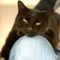 Thumbnail photo of Molly #4