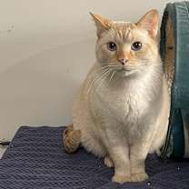 Thumbnail photo of Gary #2