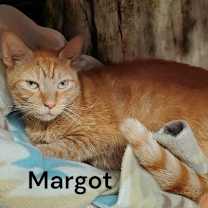 Thumbnail photo of Margot #4