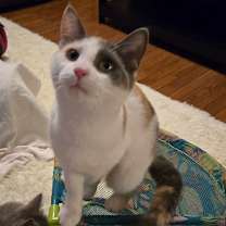 Thumbnail photo of Edina #3