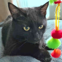 Thumbnail photo of Mickey M #1