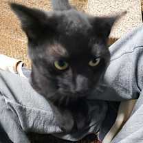 Thumbnail photo of Mickey M #2