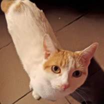 Thumbnail photo of Madonna W #3