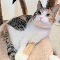 Thumbnail photo of Marie #4