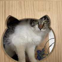 Thumbnail photo of Riley #3