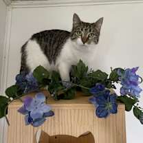 Thumbnail photo of Riley #4