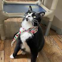 Thumbnail photo of Luz #2