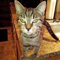 Thumbnail photo of Celine B #1