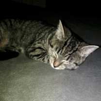 Thumbnail photo of Celine B #2