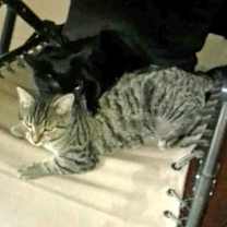 Thumbnail photo of Celine B #3