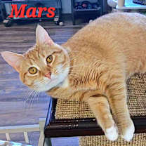 Thumbnail photo of Mars #2