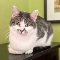 Thumbnail photo of Stan #1