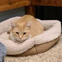 Thumbnail photo of Miley #2