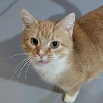 Thumbnail photo of Miley #3