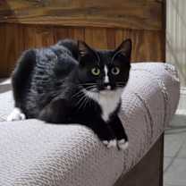 Thumbnail photo of Susie #2