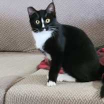 Thumbnail photo of Susie #3