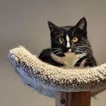 Thumbnail photo of Susie #4