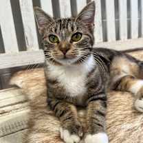 Thumbnail photo of Tiny #4