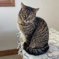 Thumbnail photo of Peanut #2