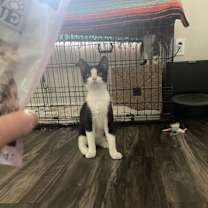 Thumbnail photo of Jerry #2