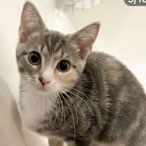 Thumbnail photo of Eloise #3