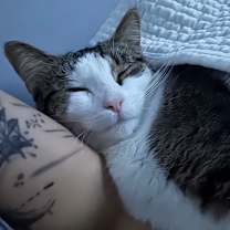 Thumbnail photo of Kiwi #2