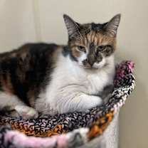 Thumbnail photo of Caroline #1