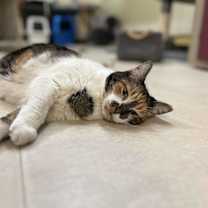 Thumbnail photo of Caroline #3