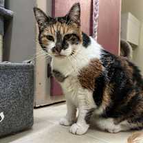 Thumbnail photo of Caroline #4