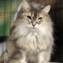 Thumbnail photo of Eenie #1