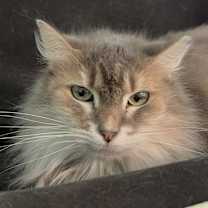 Thumbnail photo of Eenie #2