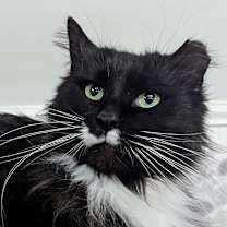 Thumbnail photo of Jett #1