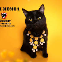 Thumbnail photo of CONI MOMOA #1