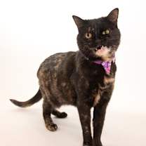 Thumbnail photo of Emmalee #1