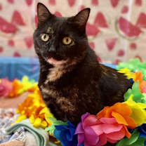 Thumbnail photo of Emmalee #2