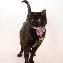 Thumbnail photo of Emmalee #3