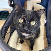 Thumbnail photo of Emmalee #4