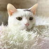 Thumbnail photo of Marlee #1
