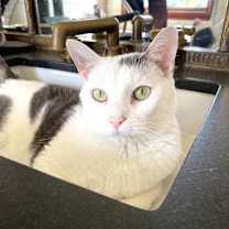 Thumbnail photo of Marlee #2
