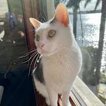 Thumbnail photo of Marlee #3