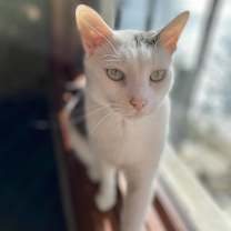 Thumbnail photo of Marlee #4