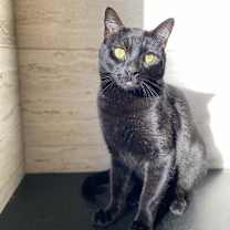 Thumbnail photo of Bruno #4