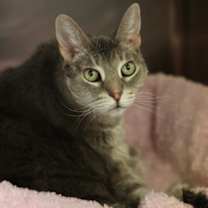 Thumbnail photo of Mona #1