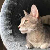 Thumbnail photo of Mona #3