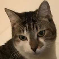 Thumbnail photo of Ursula #1
