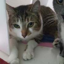 Thumbnail photo of Ursula #4