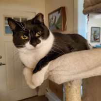 Thumbnail photo of Aldine #1