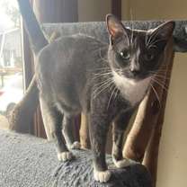 Thumbnail photo of Juliette #2