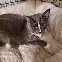 Thumbnail photo of Juliette #3