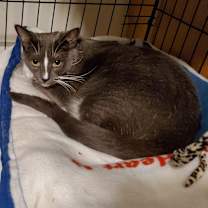 Thumbnail photo of Juliette #4